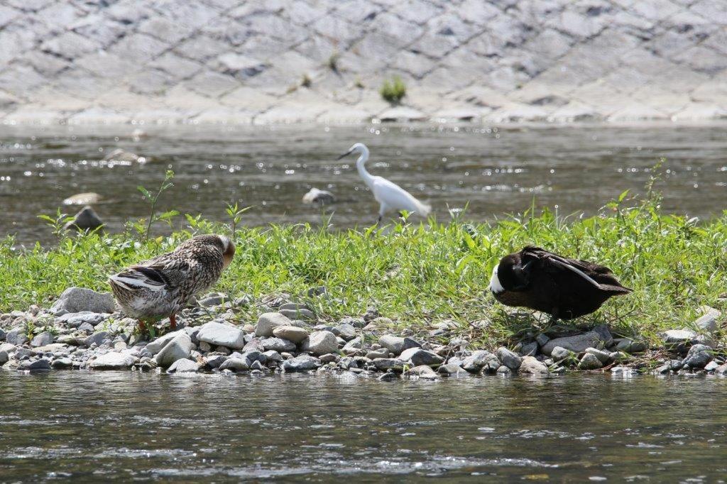 Kamogawa Nanajo Villa Kyoto Luaran gambar